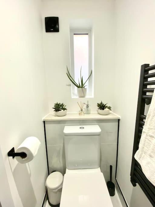 The Green Coach House Holiday home *