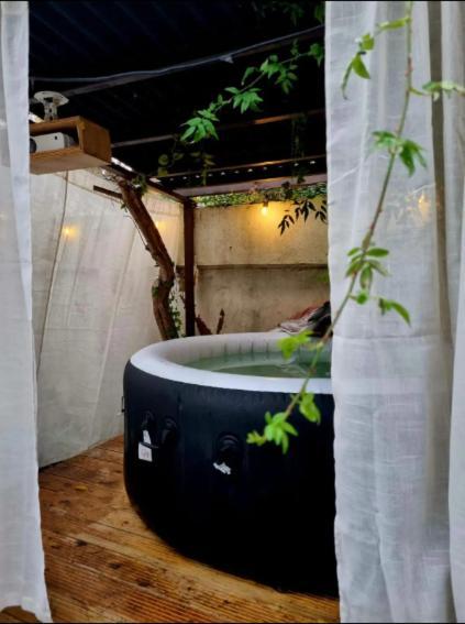 Live In Garden Hut Cinema With Hot Tub Homestay London