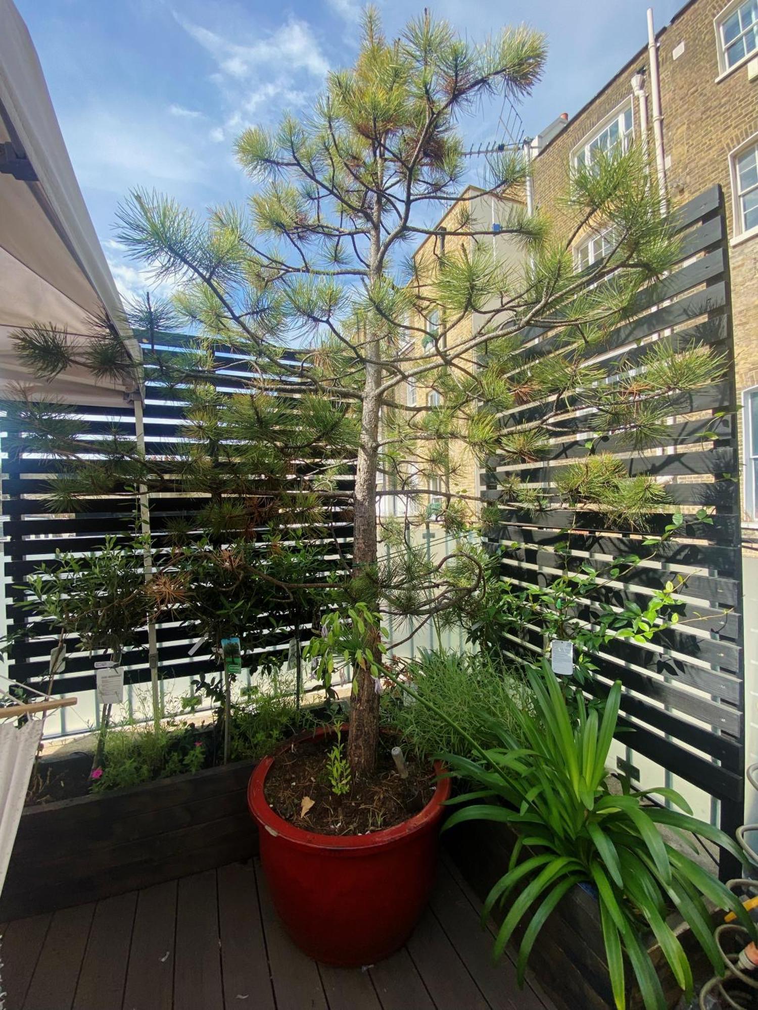 Luxury Belgrave Square Private Mews Townhouse Holiday home