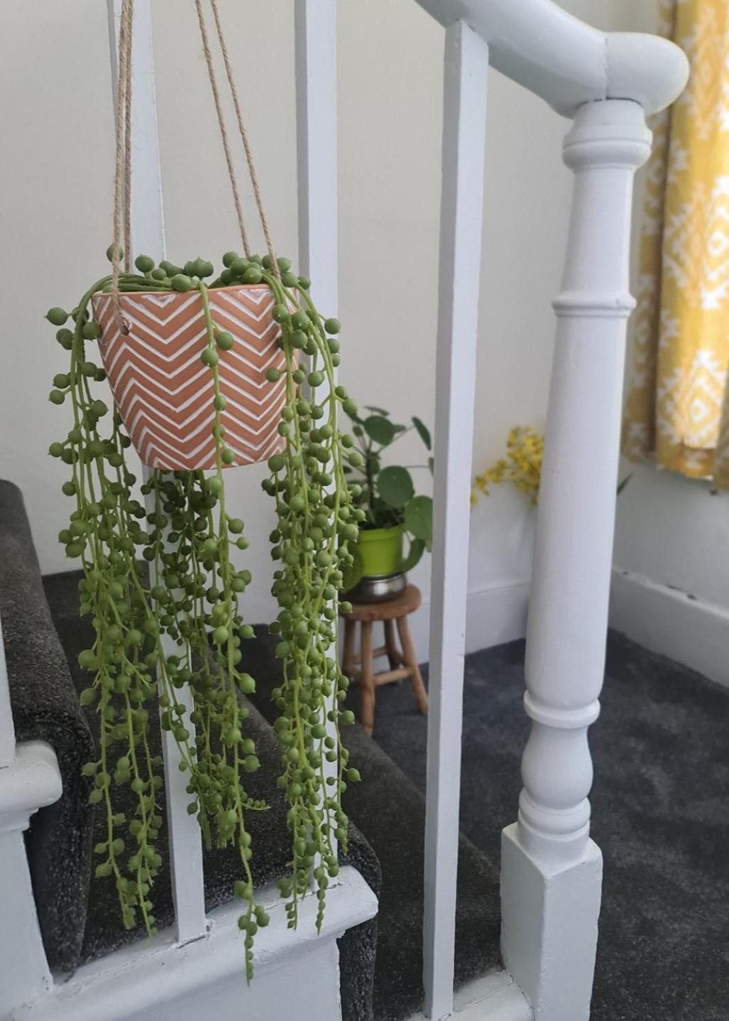Guest house Cally London
