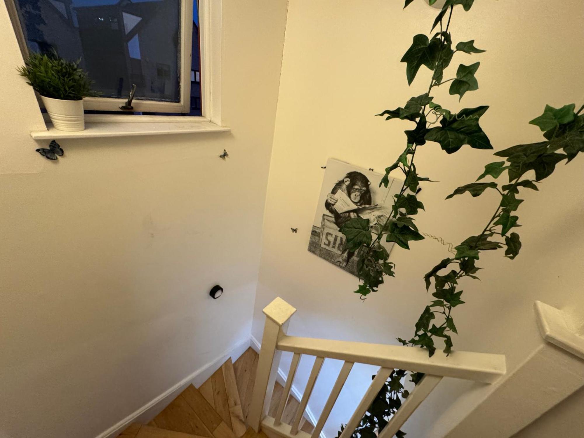 Cozy Rooms Near Central London * Londen