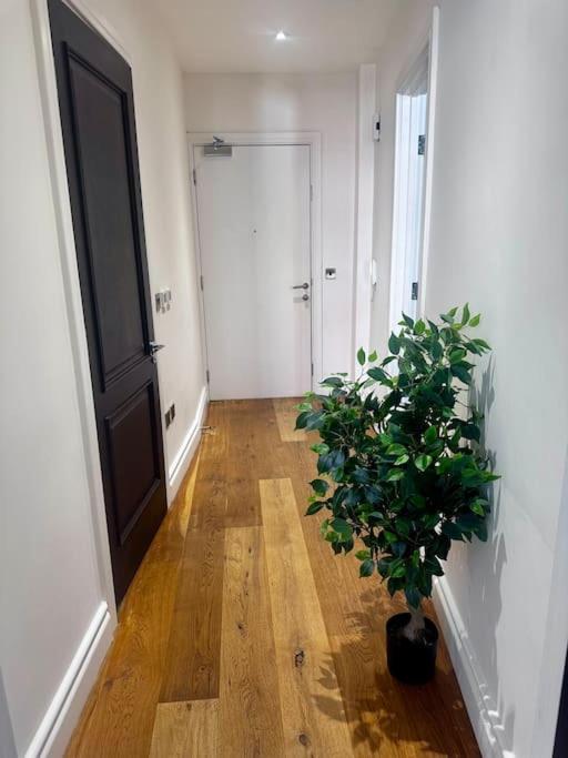 Apartment Lovely 1bed Flat Kensington