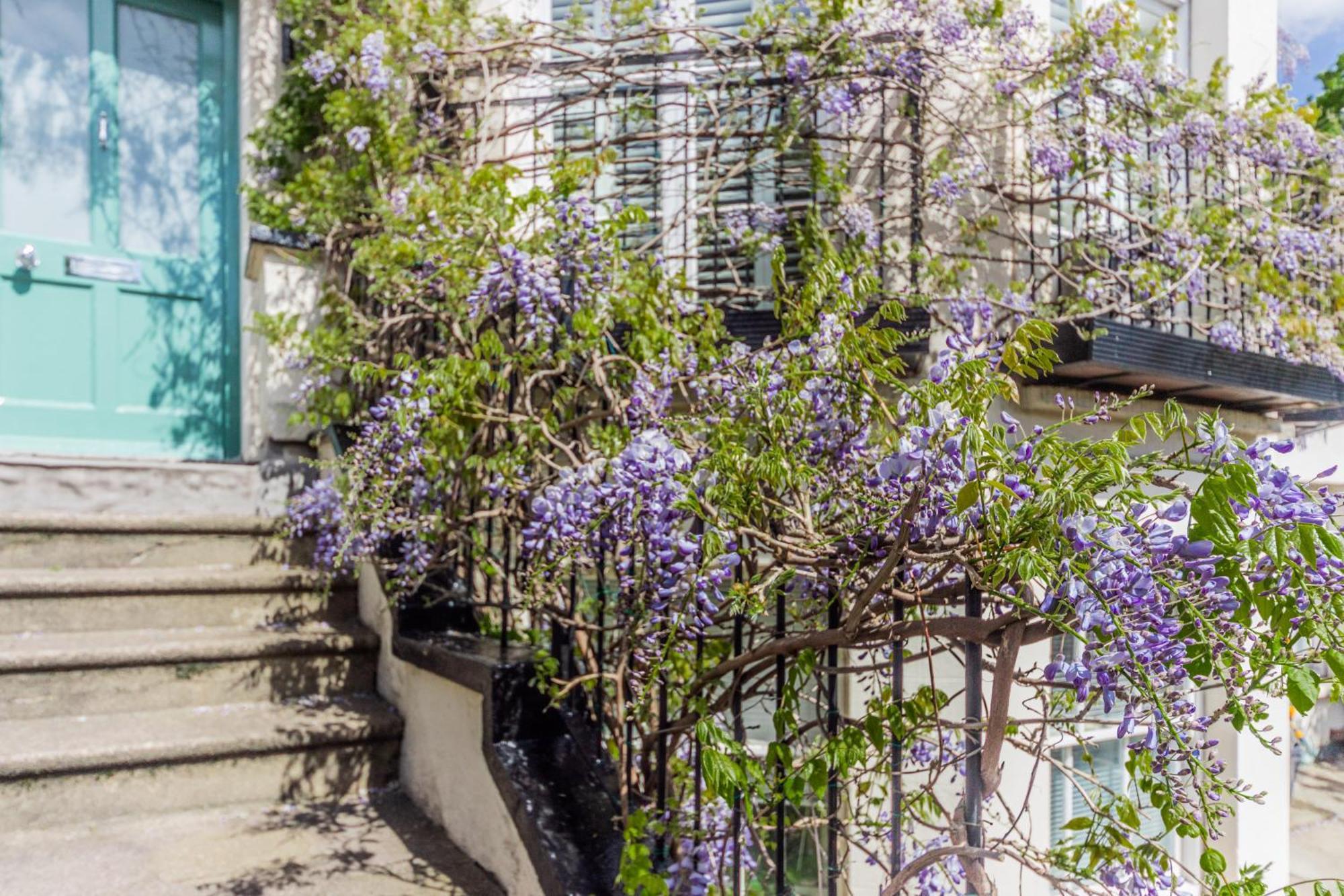 Appartement Primrose Boutique Londen