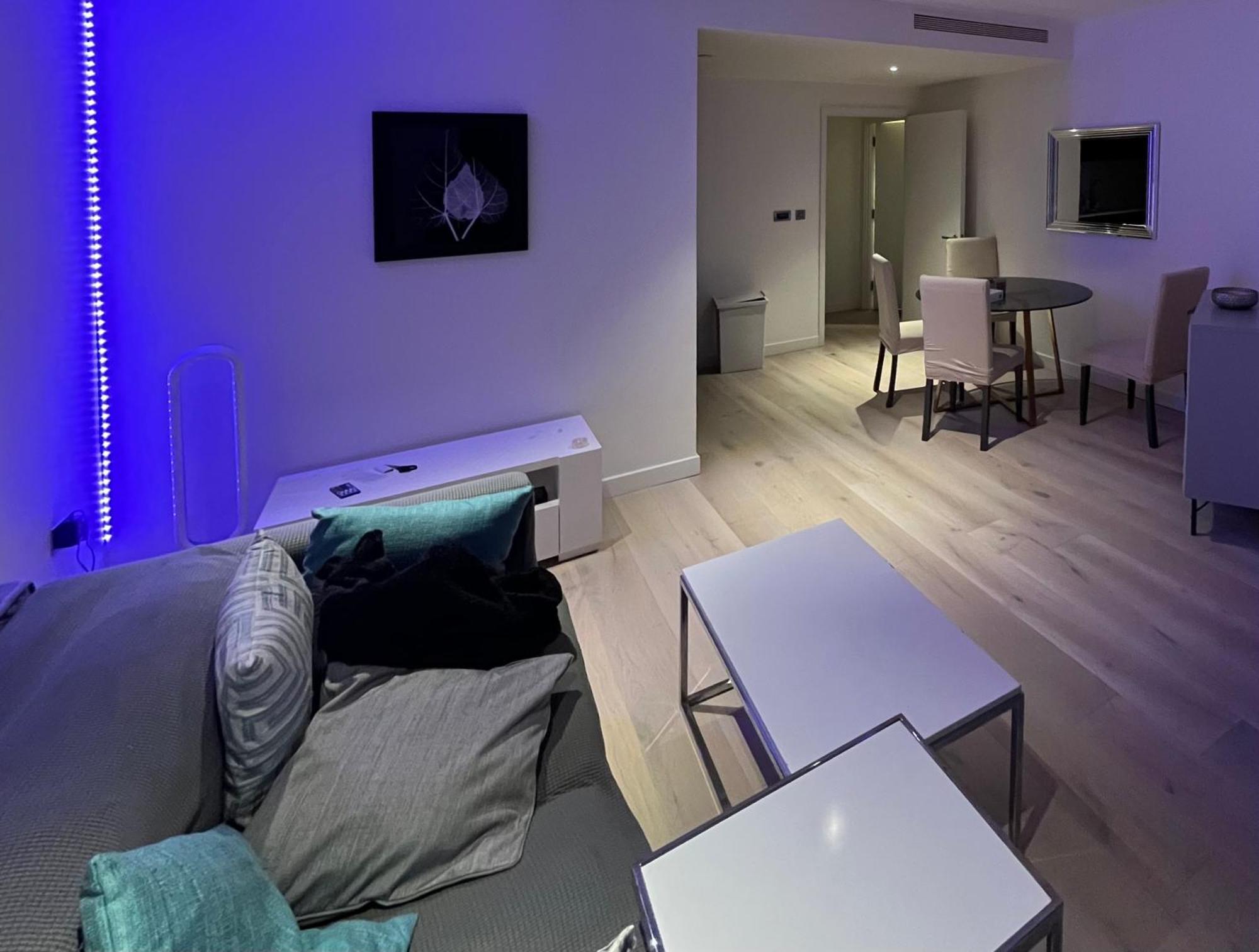 Apartment Luxury In Canary Wharf Centre With Private Balcony, And 360 Skyline View