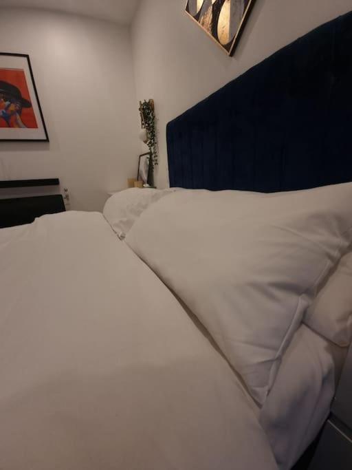 Cozy Modern Flat In Angel Islington Londen