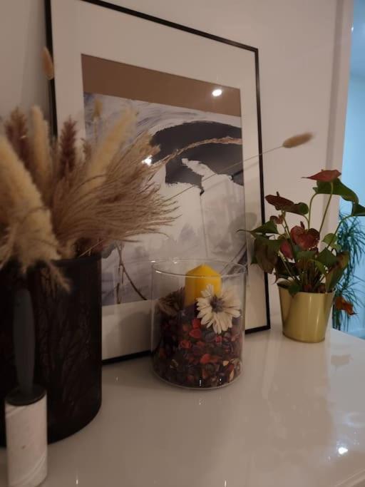 Cozy Modern Flat In Angel Islington * Londen
