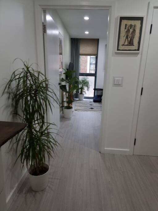 Cozy Modern Flat In Angel Islington Appartement