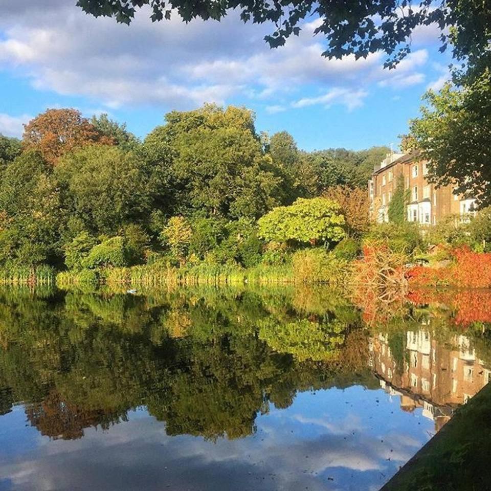 Sweet Hampstead Heath