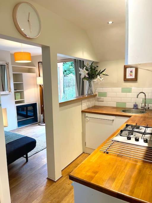 Private Garden Flat Stroud Finsbury Park Apartment London