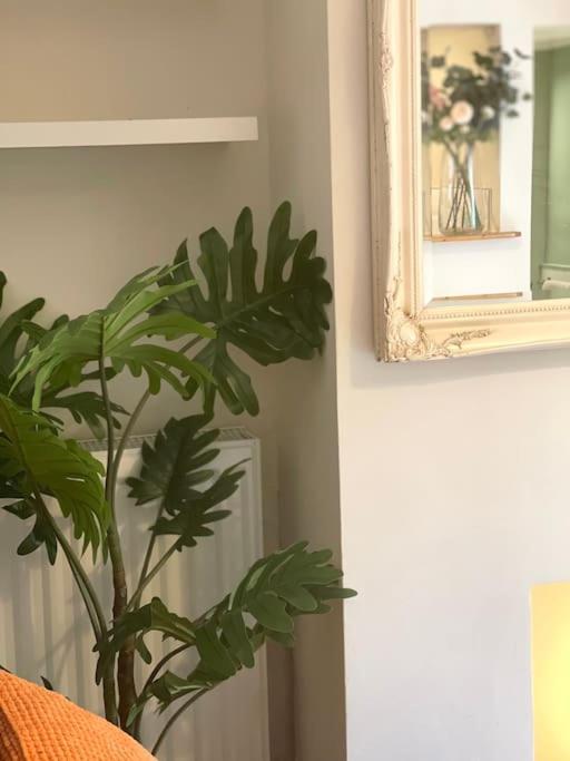 Private Garden Flat Stroud Finsbury Park *