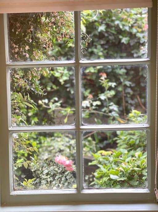 Apartment Private Garden Flat Stroud Finsbury Park London