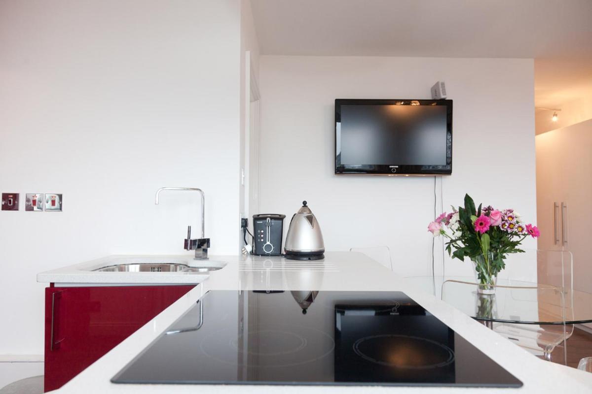 One Bed Flat Piccadilly Circus Apartment