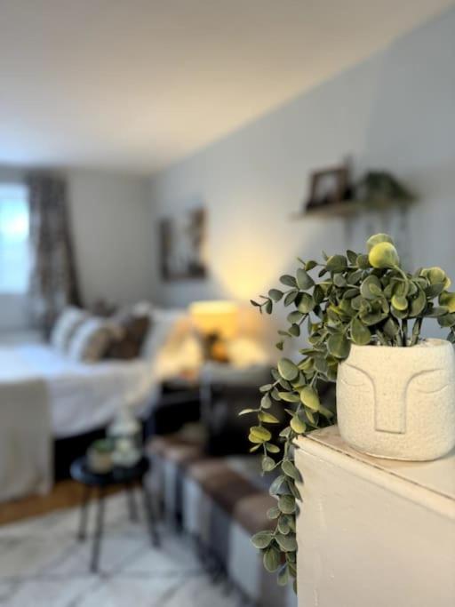 Charming Garden Hideaway! Appartement