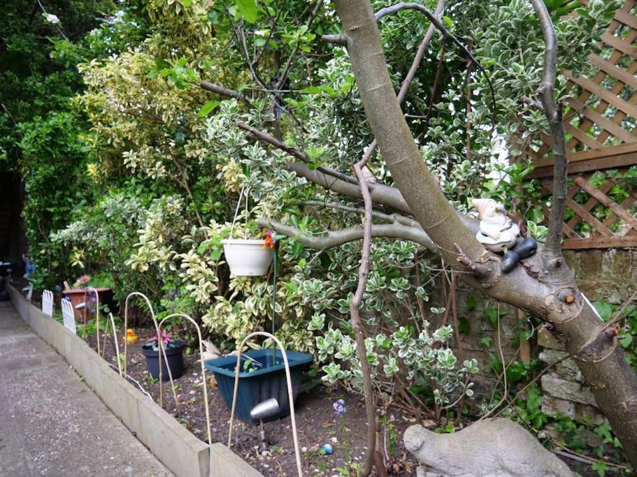 Charming Garden Hideaway! * Londen