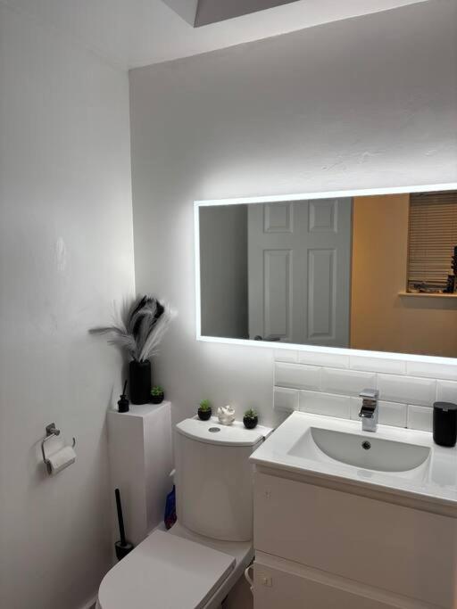 Apartment 3 Br- King Size Bed, Netflix, Garden Free Parking