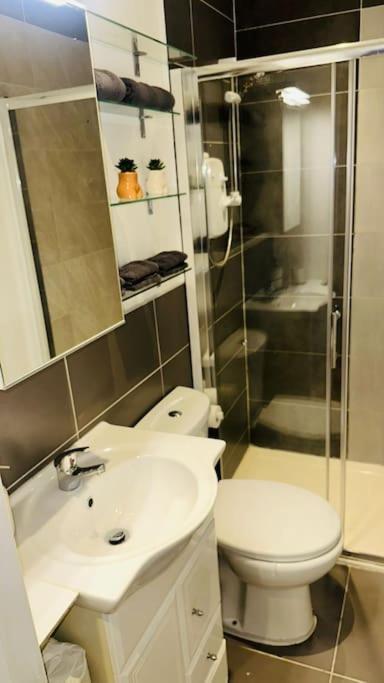 Comfortable In Wembley Apartment London