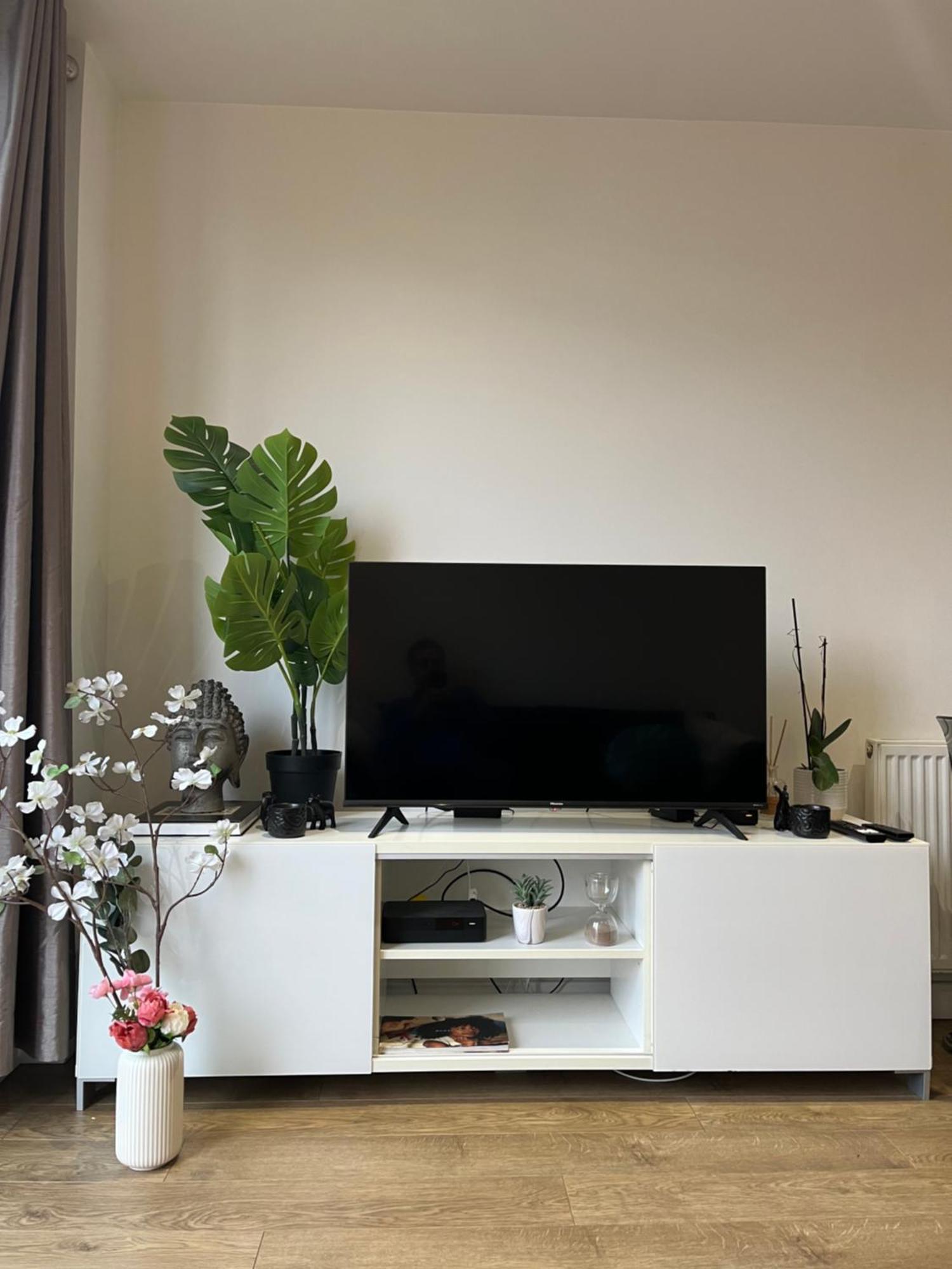 Modern Cozy 1 Bedroom