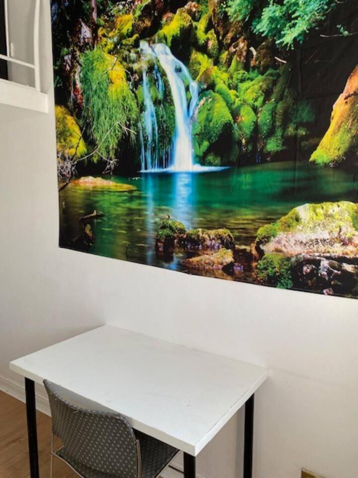 Large House In London's Trendiest Area Homestay