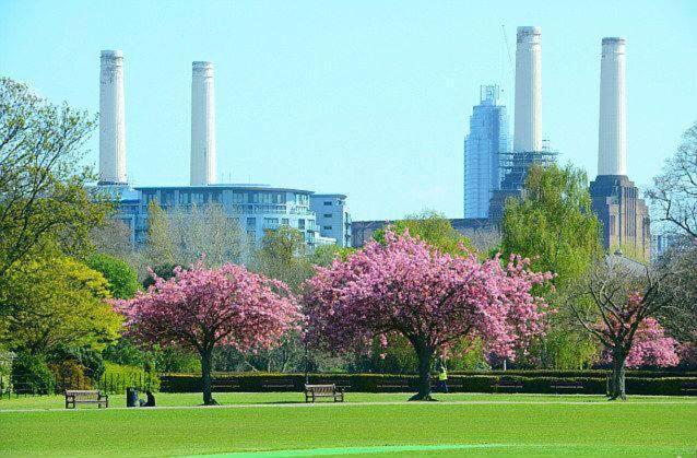 Apartment Of Battersea *