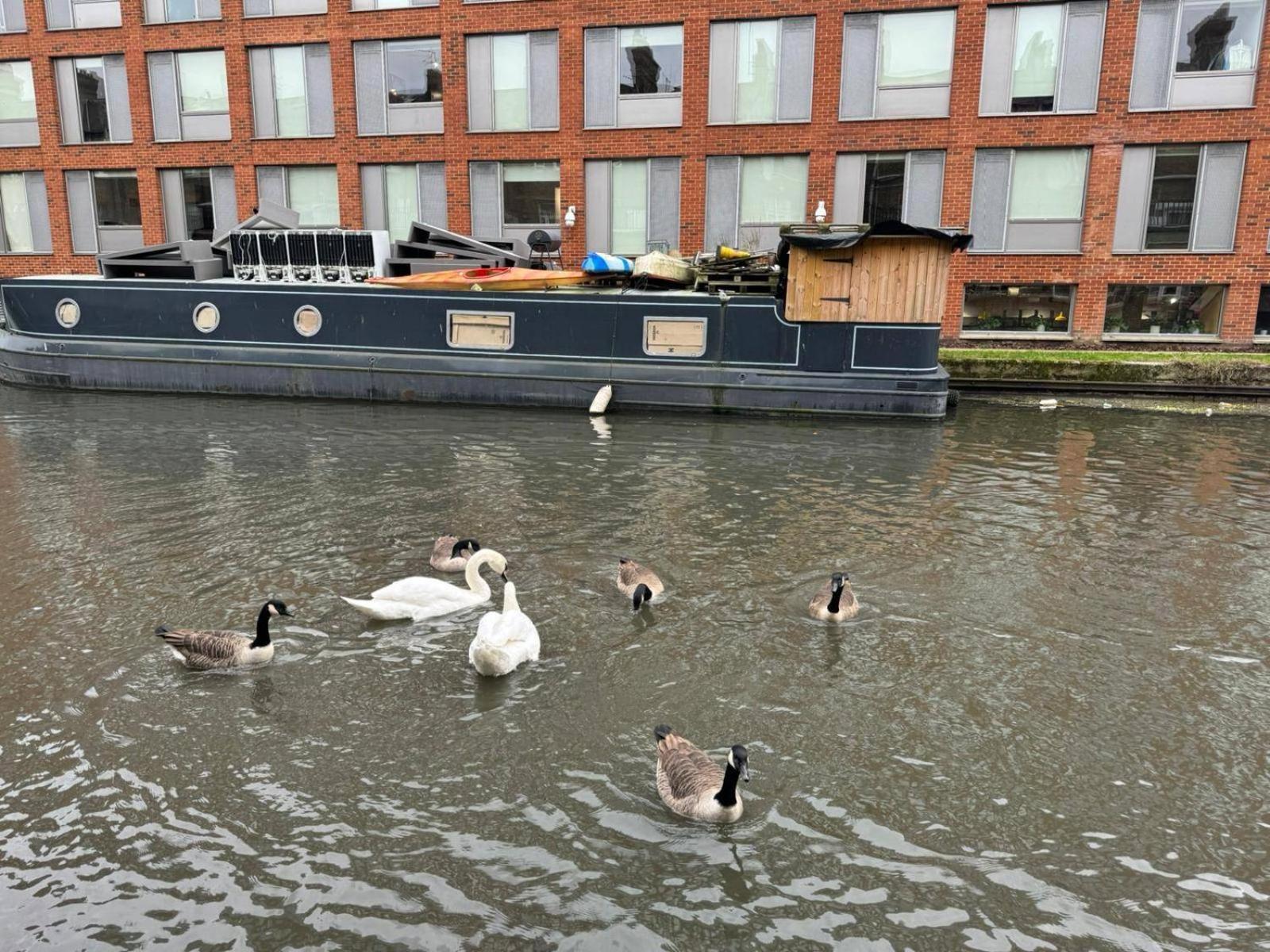 Studio-sleeps3-98ws-petfriendly *
