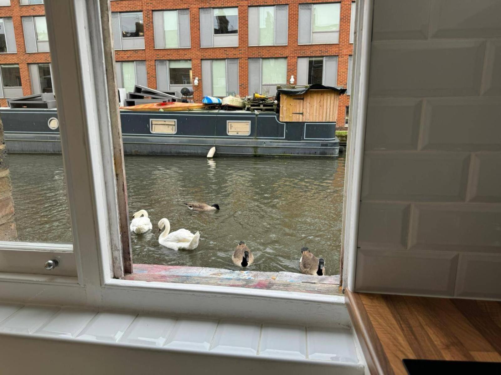 Studio-sleeps3-98ws-petfriendly Apartment *