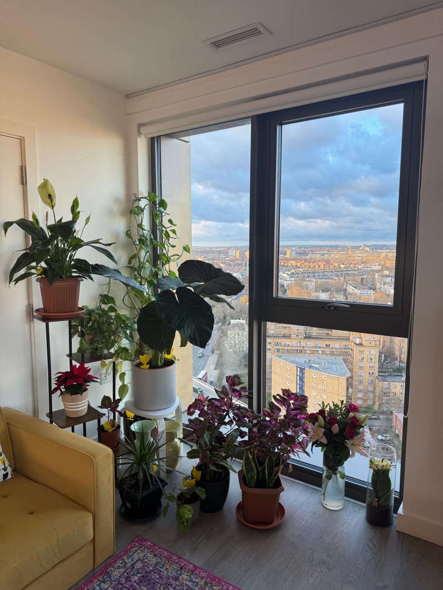 Paddington Apartment *