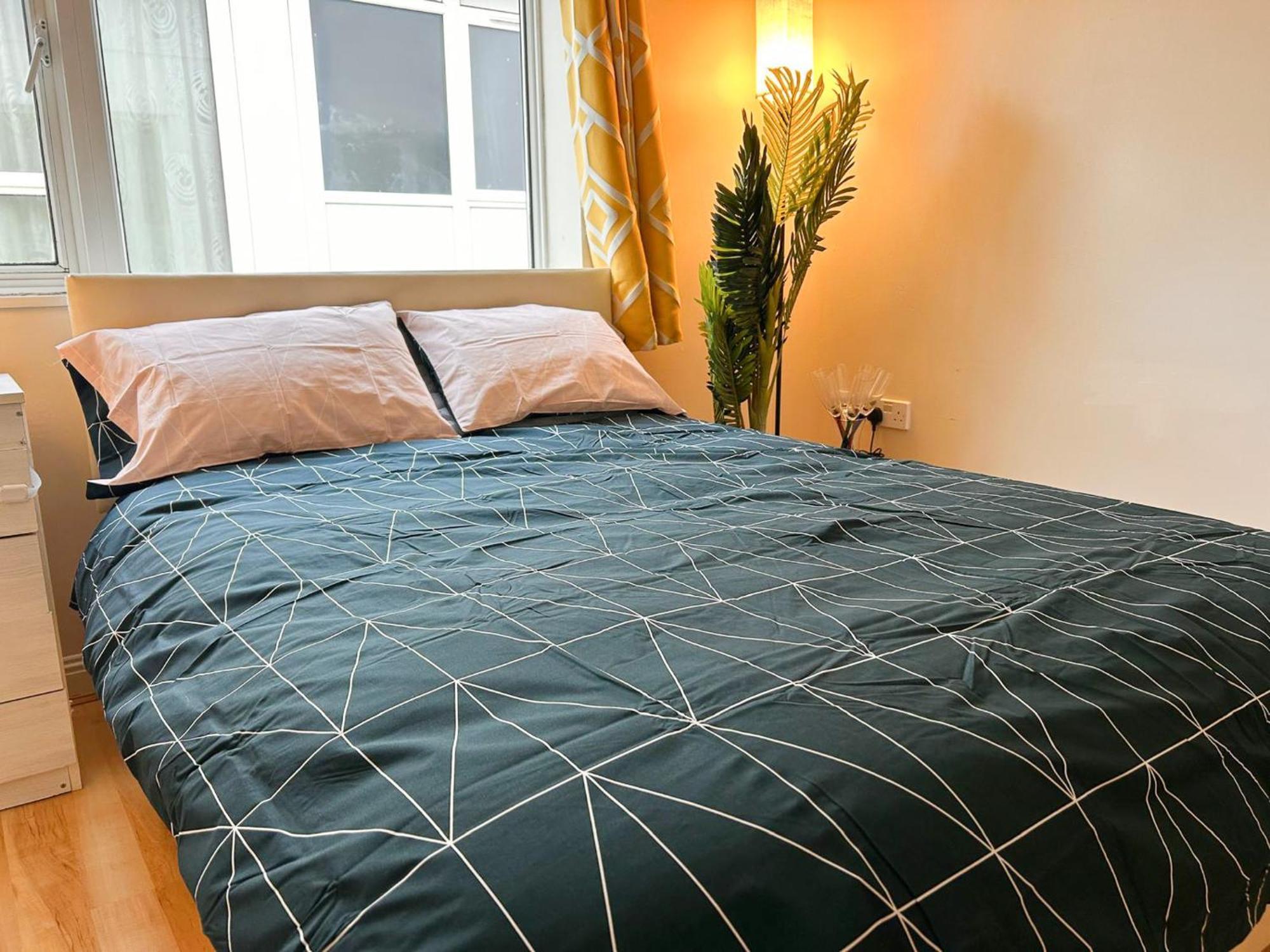 Entire Close To Wembley Stadium Apartment *