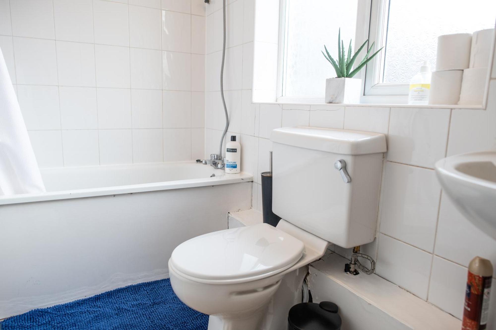 Ample Acton 4-bedroom Flat,ealing, West Apartment