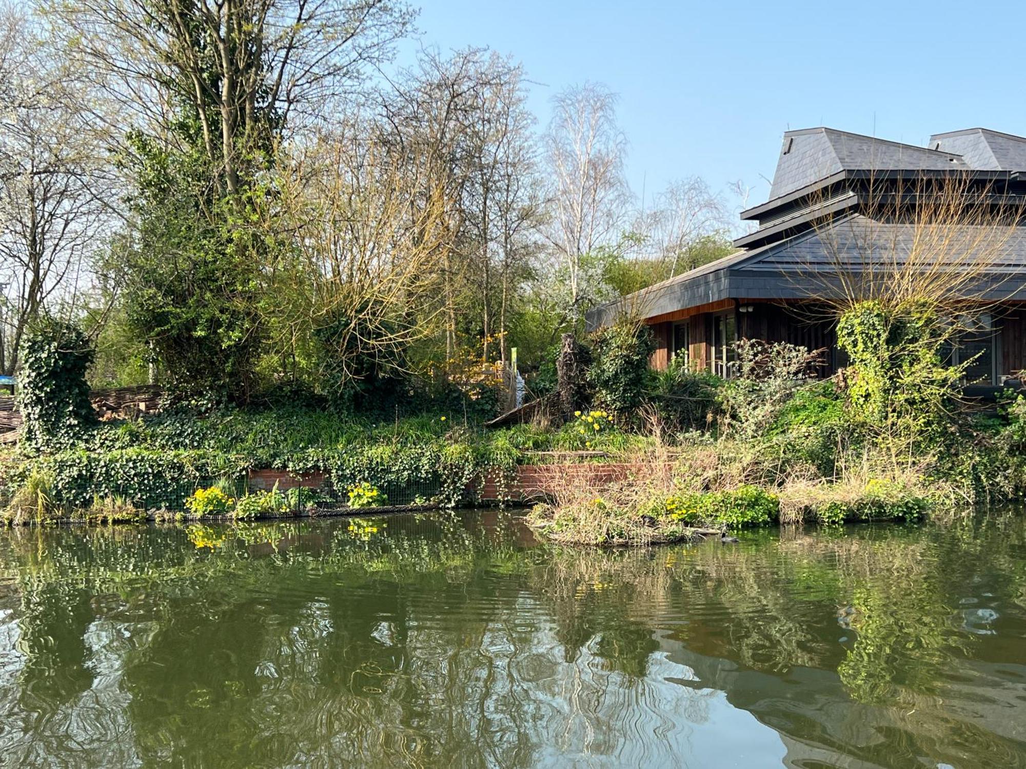 Creative Oasis In The Heart Of Guest house