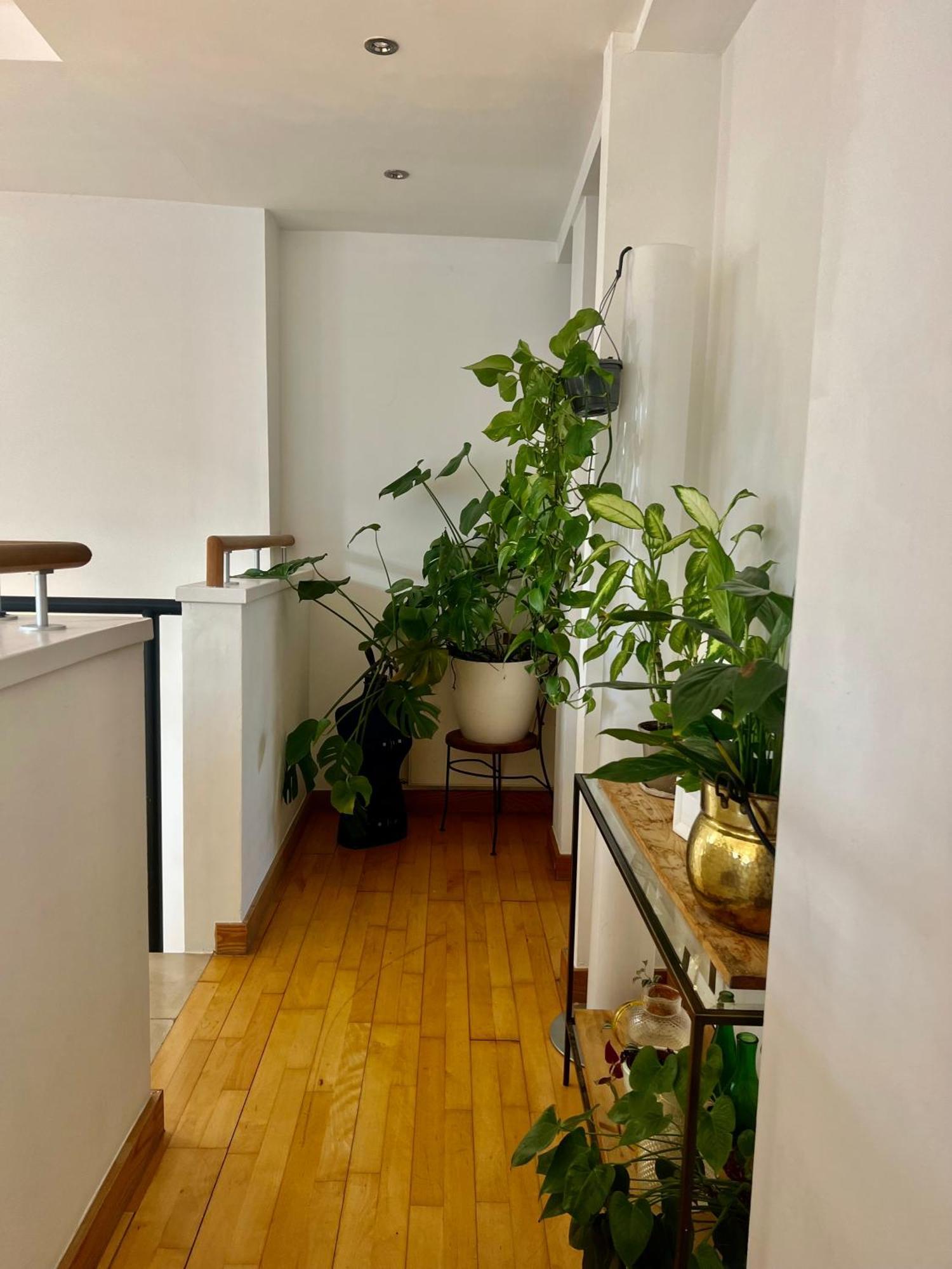 Guest house Huge For Recharge And Relaxation In Loft With Sauna In London