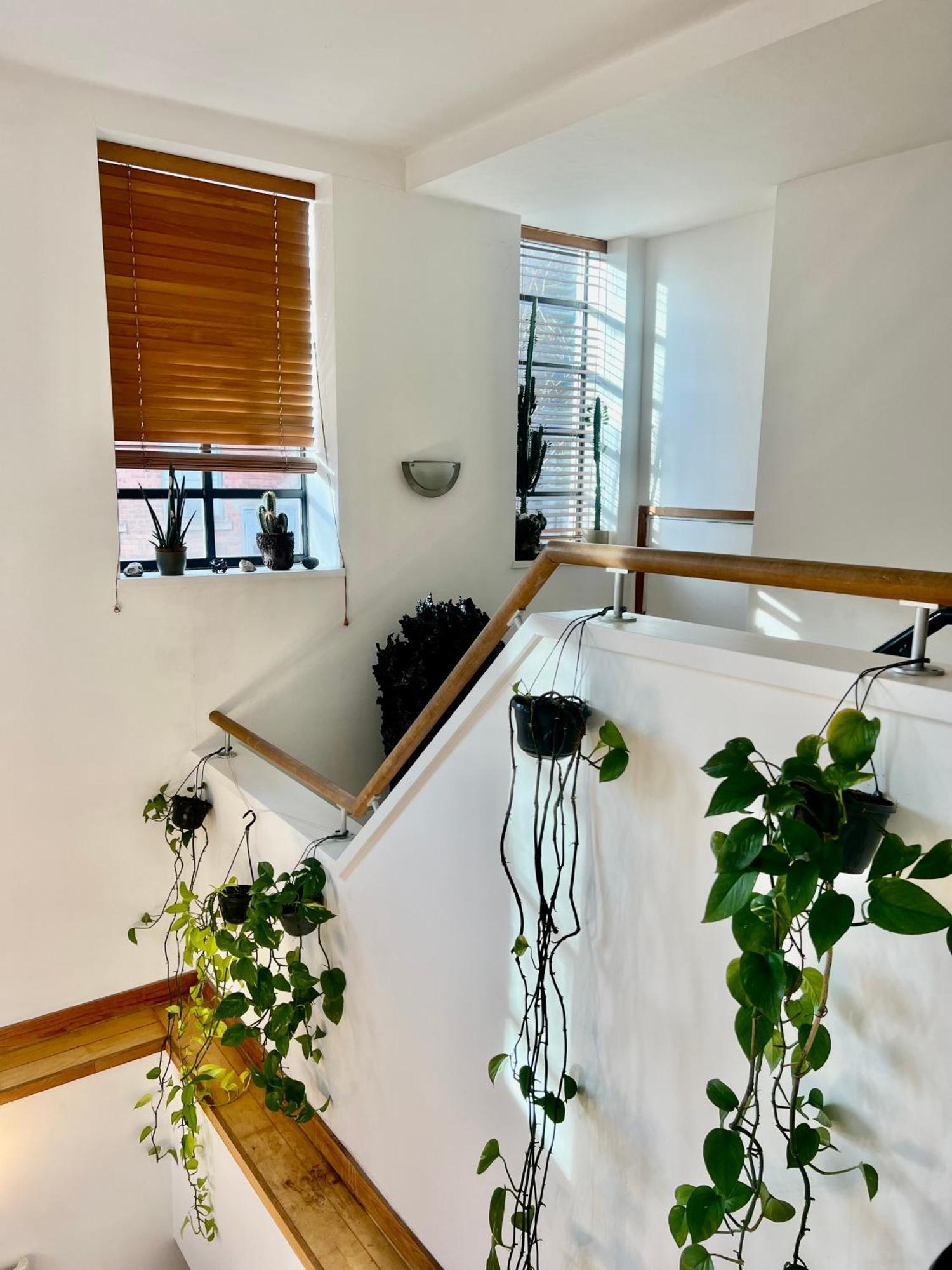 Guest house Huge For Recharge And Relaxation In Loft With Sauna In *