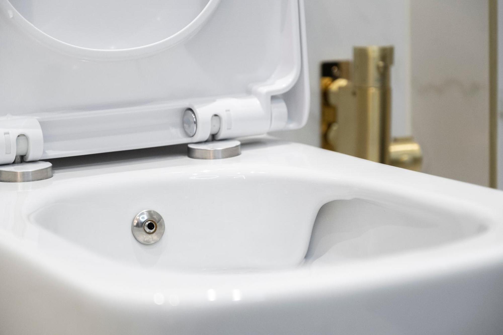 Luxury Large In Vakantiehuis *