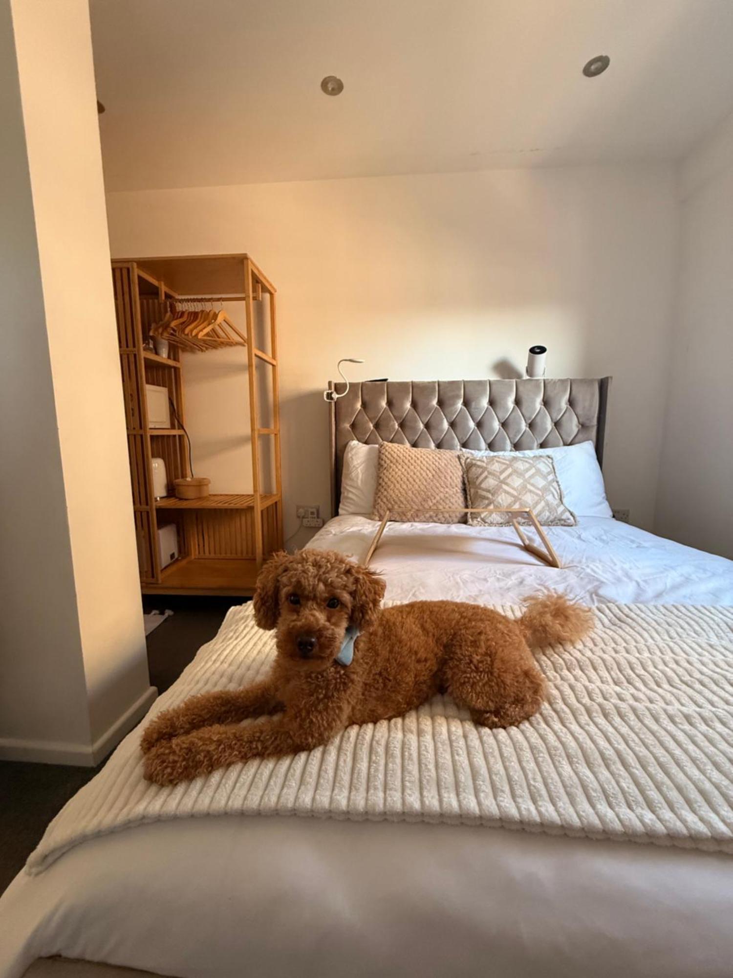 Near Airport Dog Lovers Welcome * London