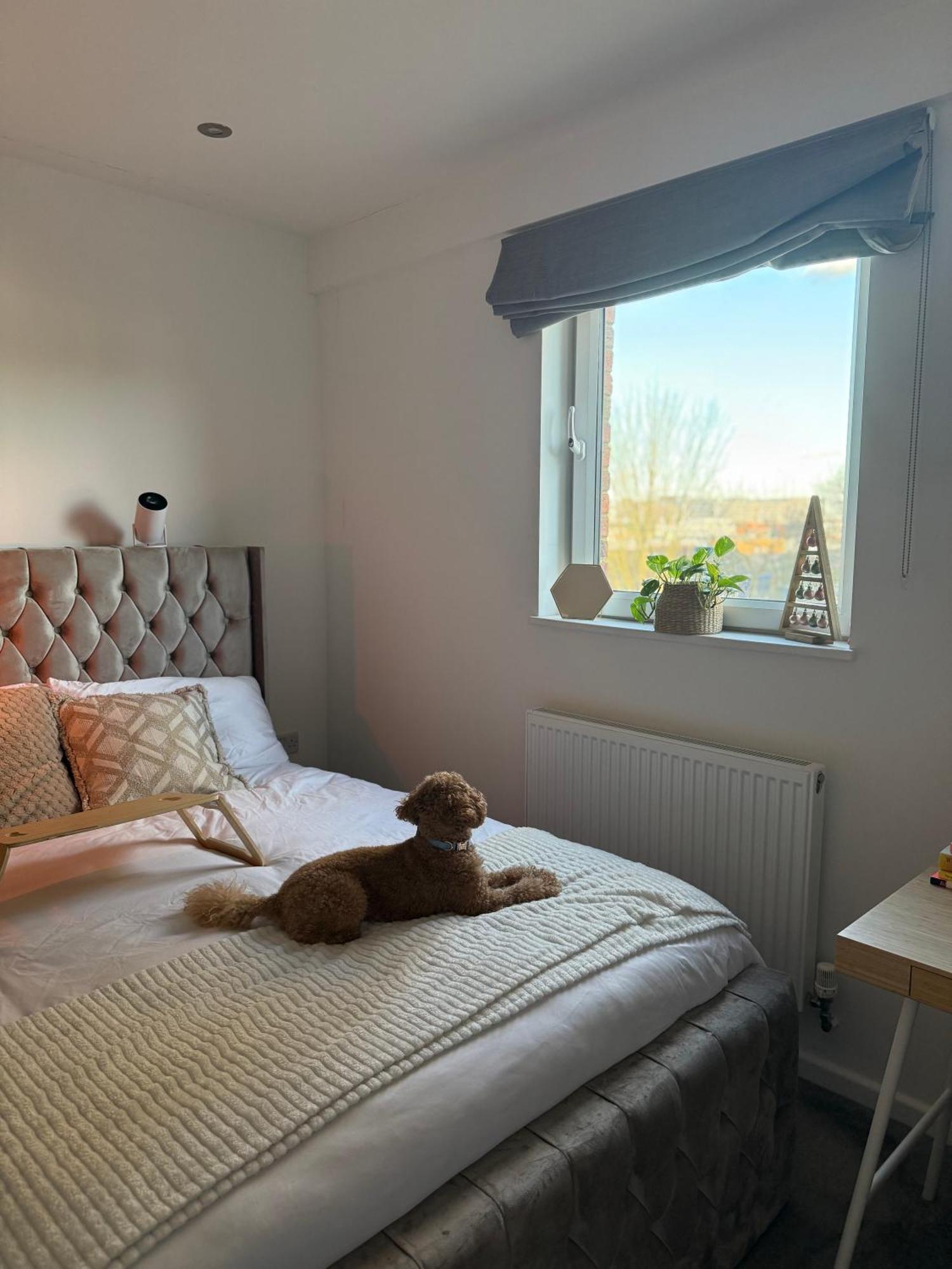 Bed & Breakfast Near Airport Dog Lovers Welcome London