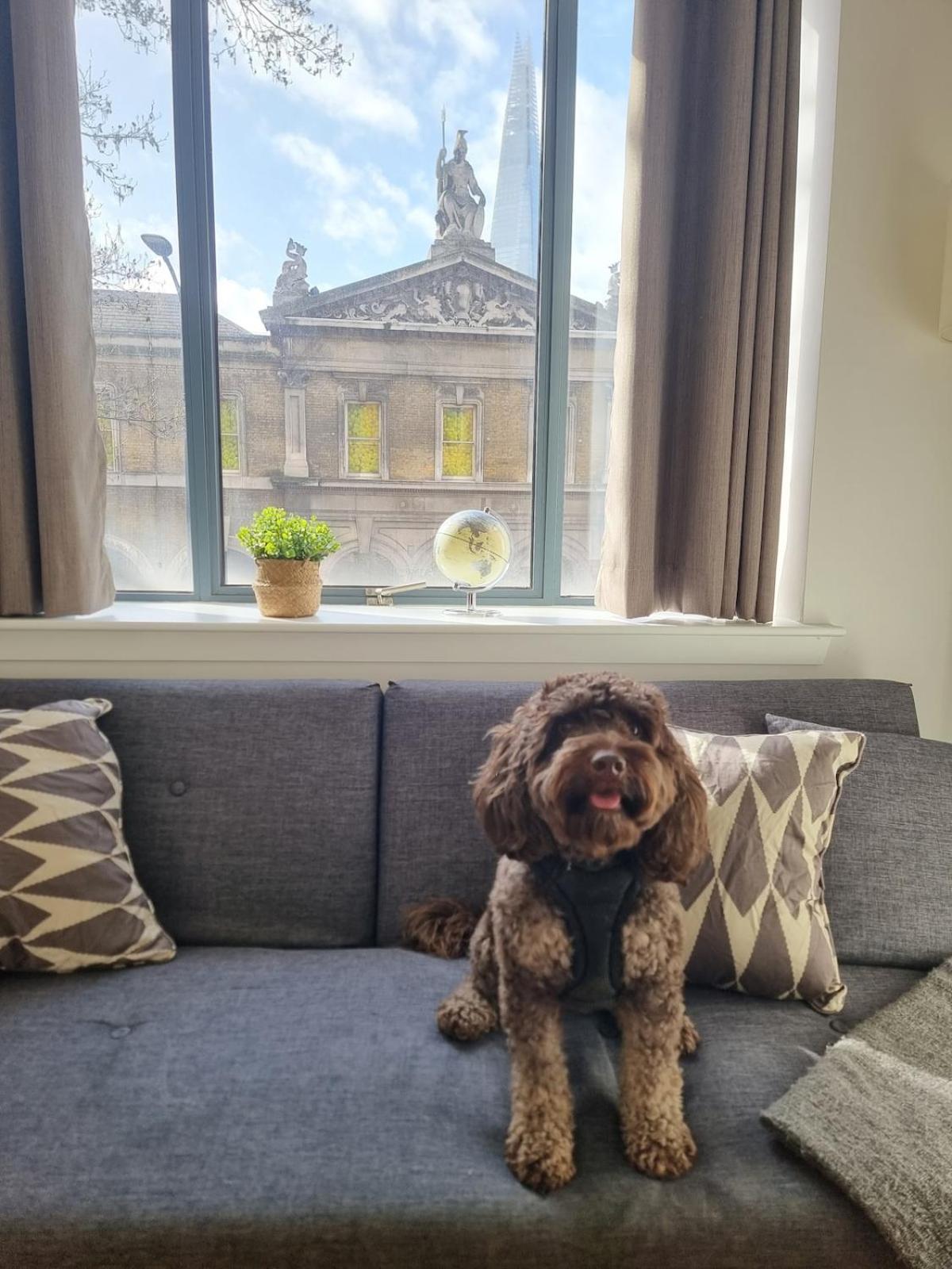 2bed Flat At Bridge With Shard Views & Lift * London