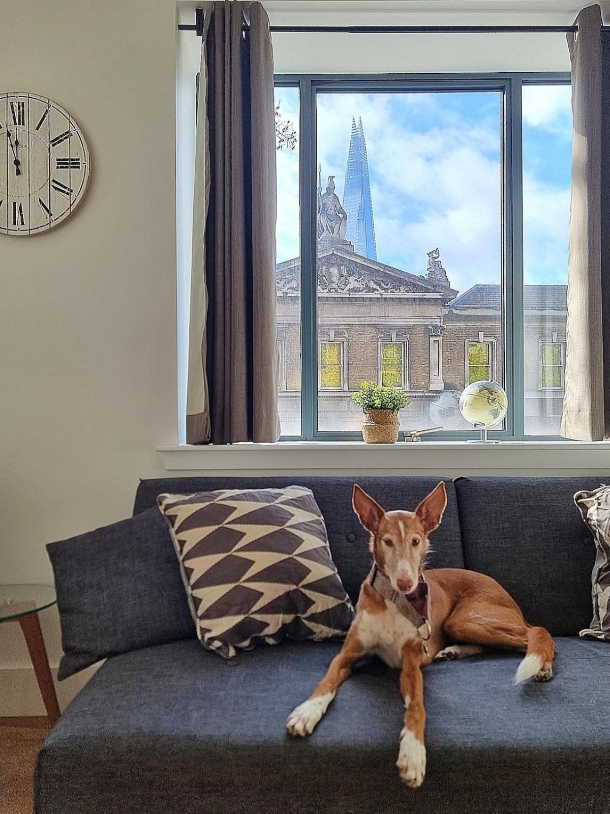 2bed Flat At Bridge With Shard Views & Lift
