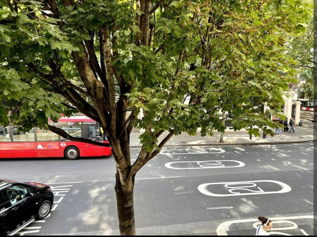 Cozy Twin Next To Hyde Park Homestay London