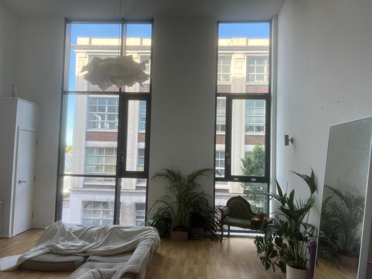 Bright And Spacious Loft Style *