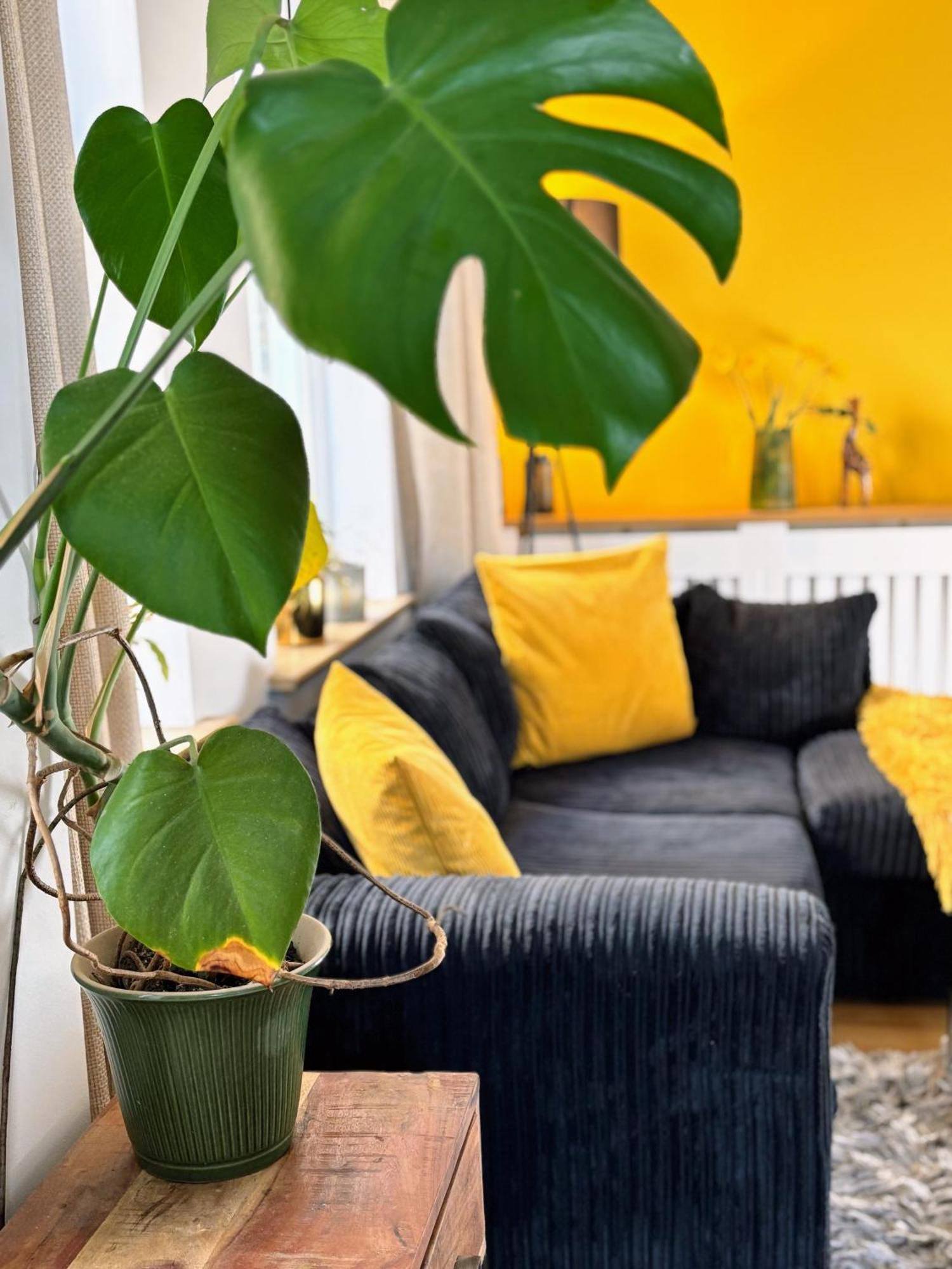 Apartment 2 Bdr House 20mins To Oxford Circus - *