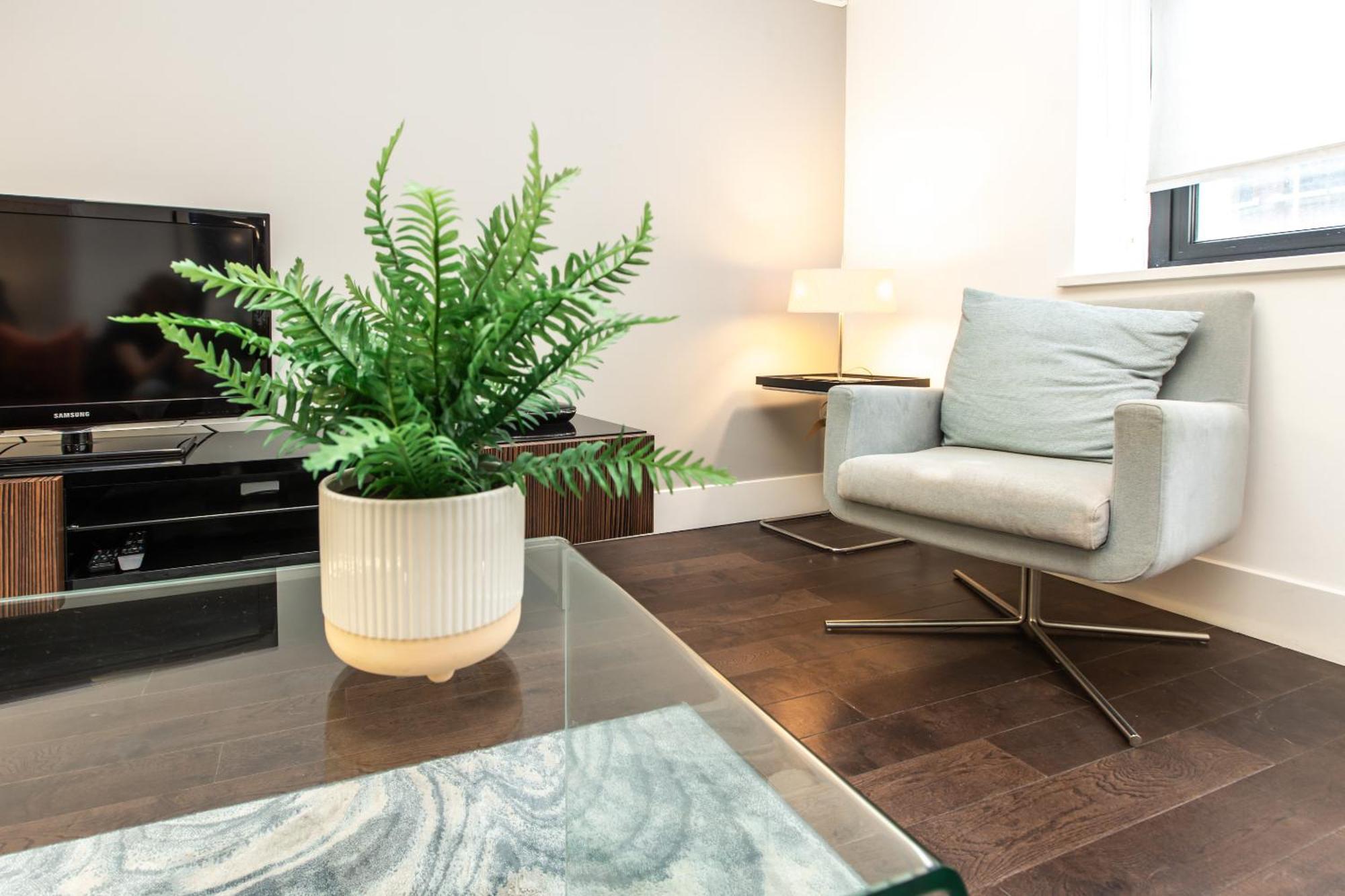 Apartment Contemporary 1br Near Monument St!