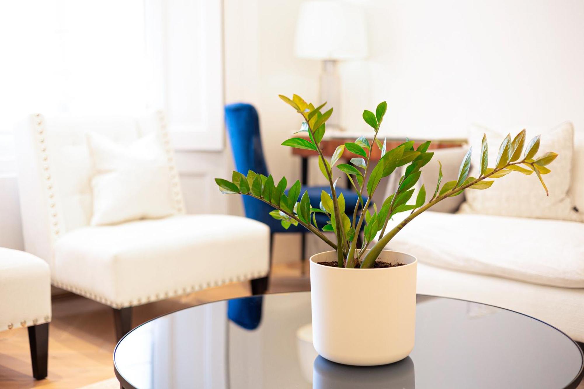 Sunlit 1-br Flat Near Notting Hill Apartamento *