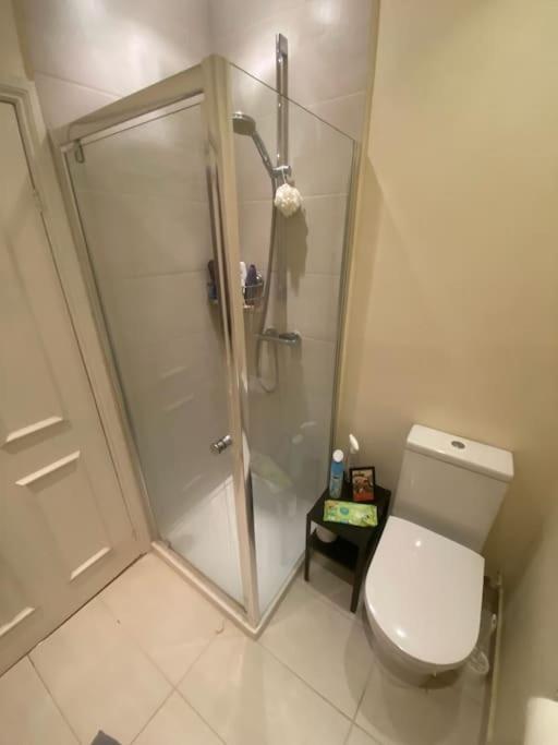 Dancer Road - Welcoming Flat With Outdoor Space London
