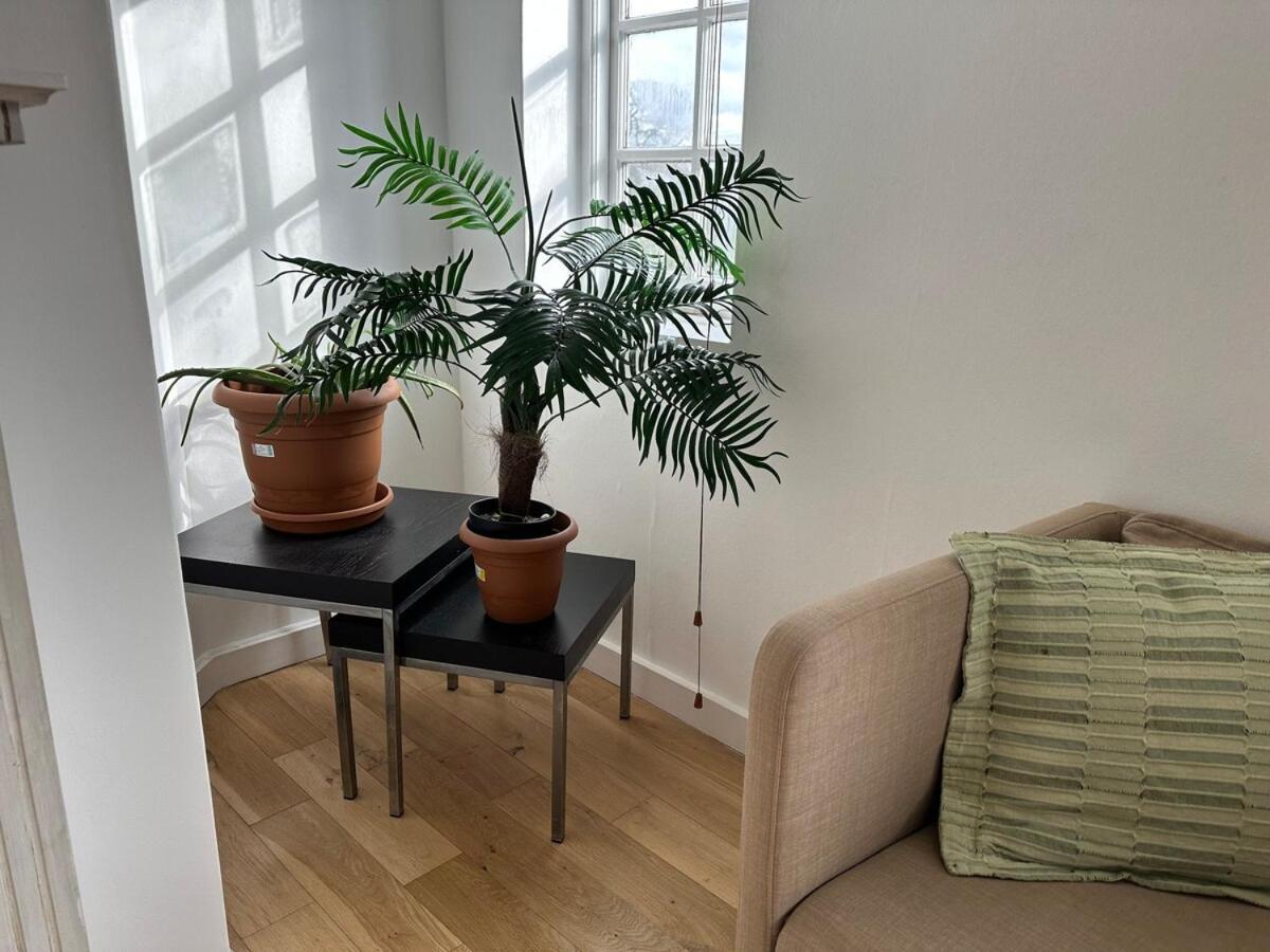 Cosy 2-bed Retreat In Hampstead London