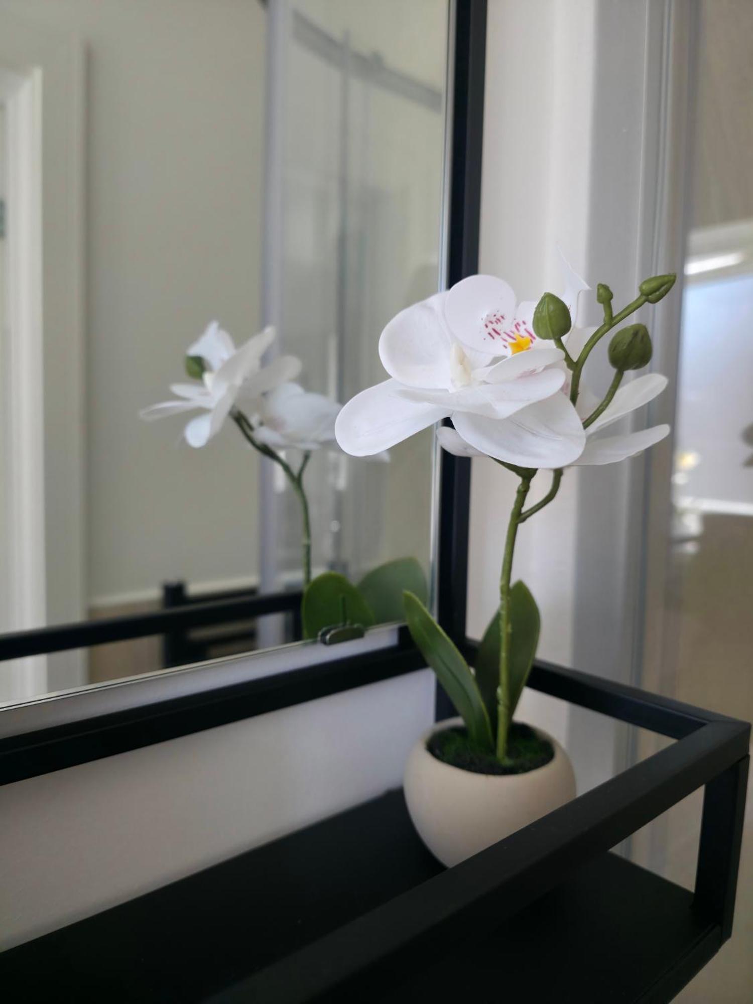 Superb Flat 4 In Central London Londen
