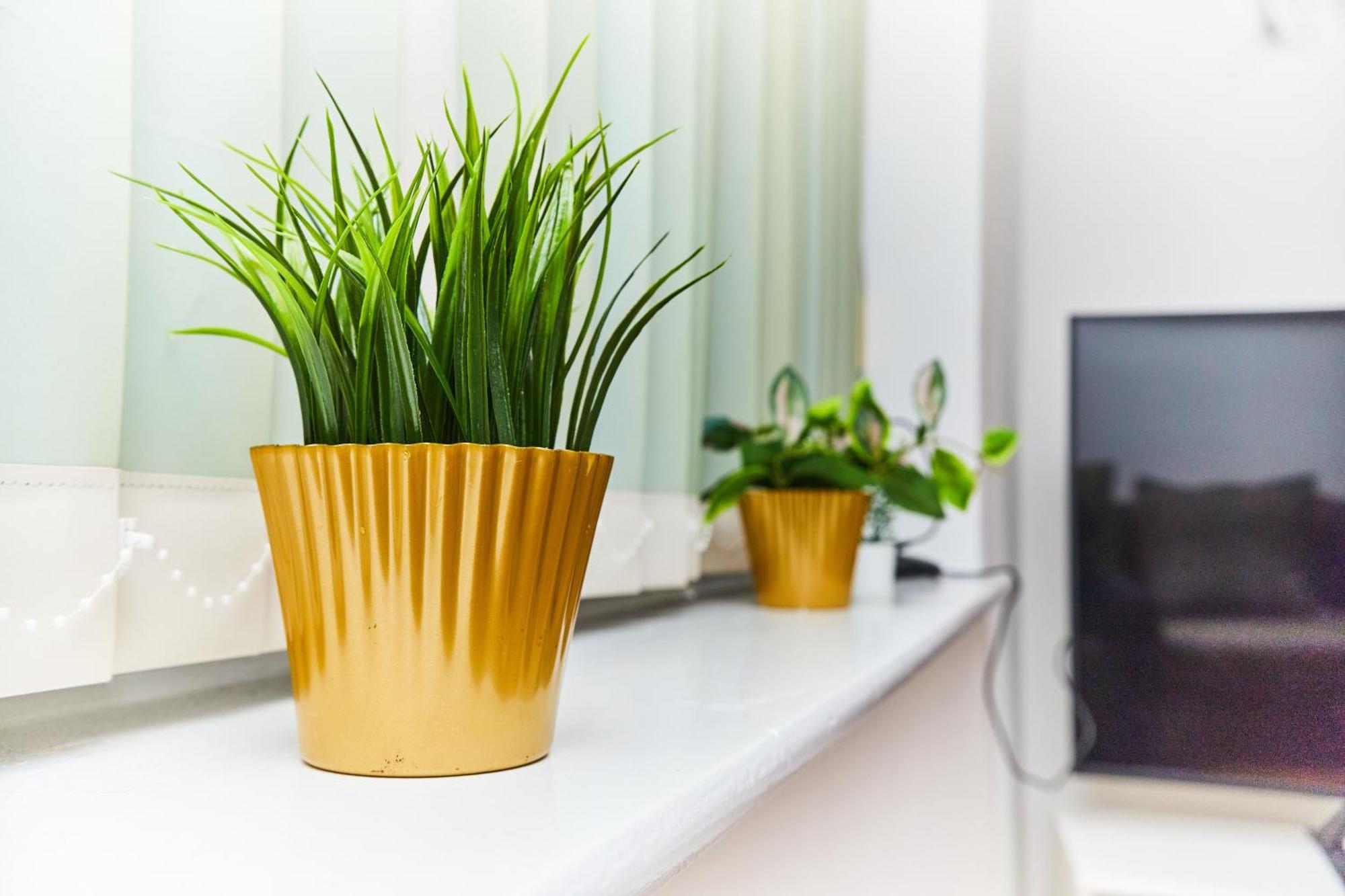 Apartment Emerald Excel Airport O2 *