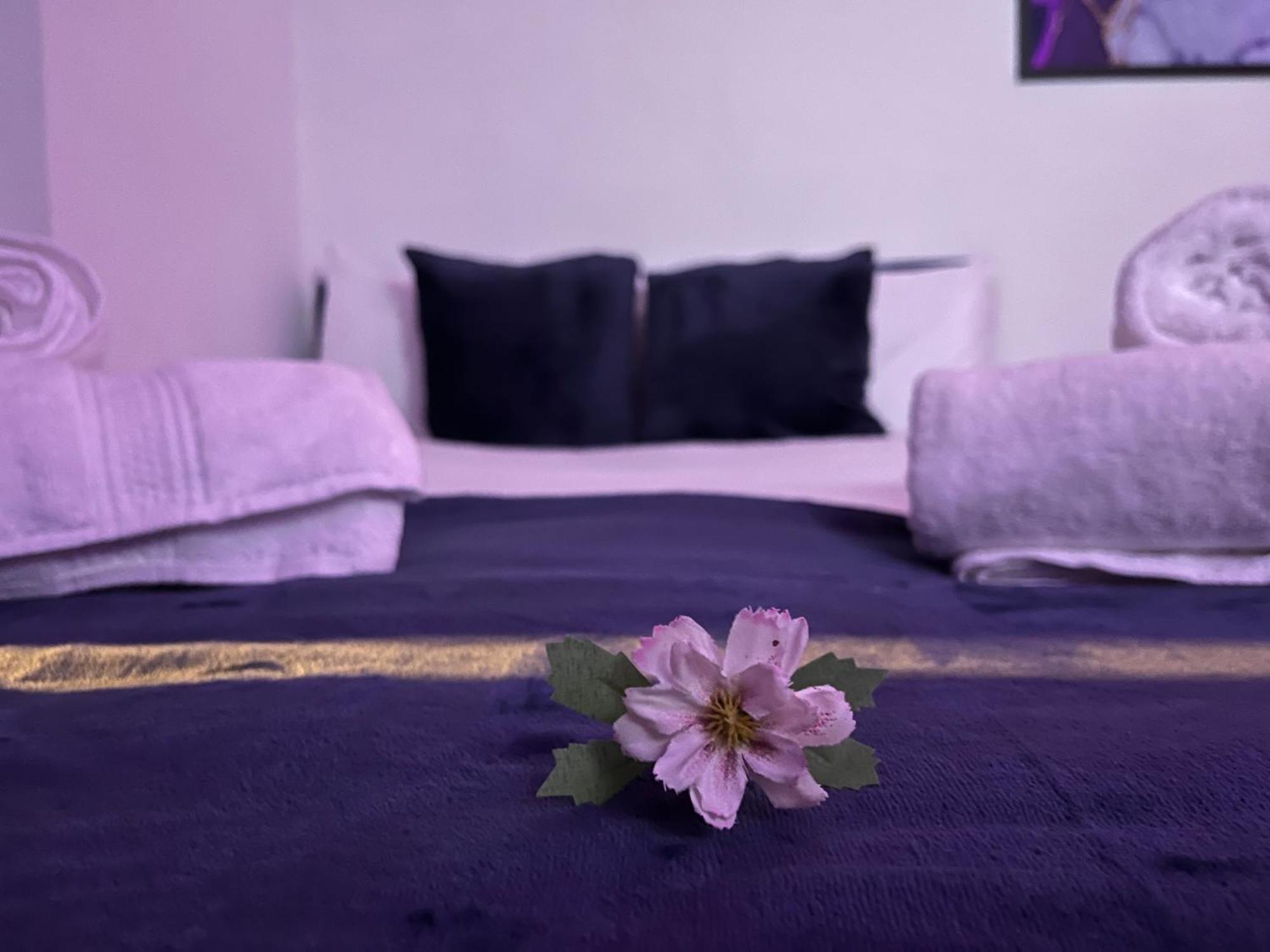 Apartment Entire Camden London