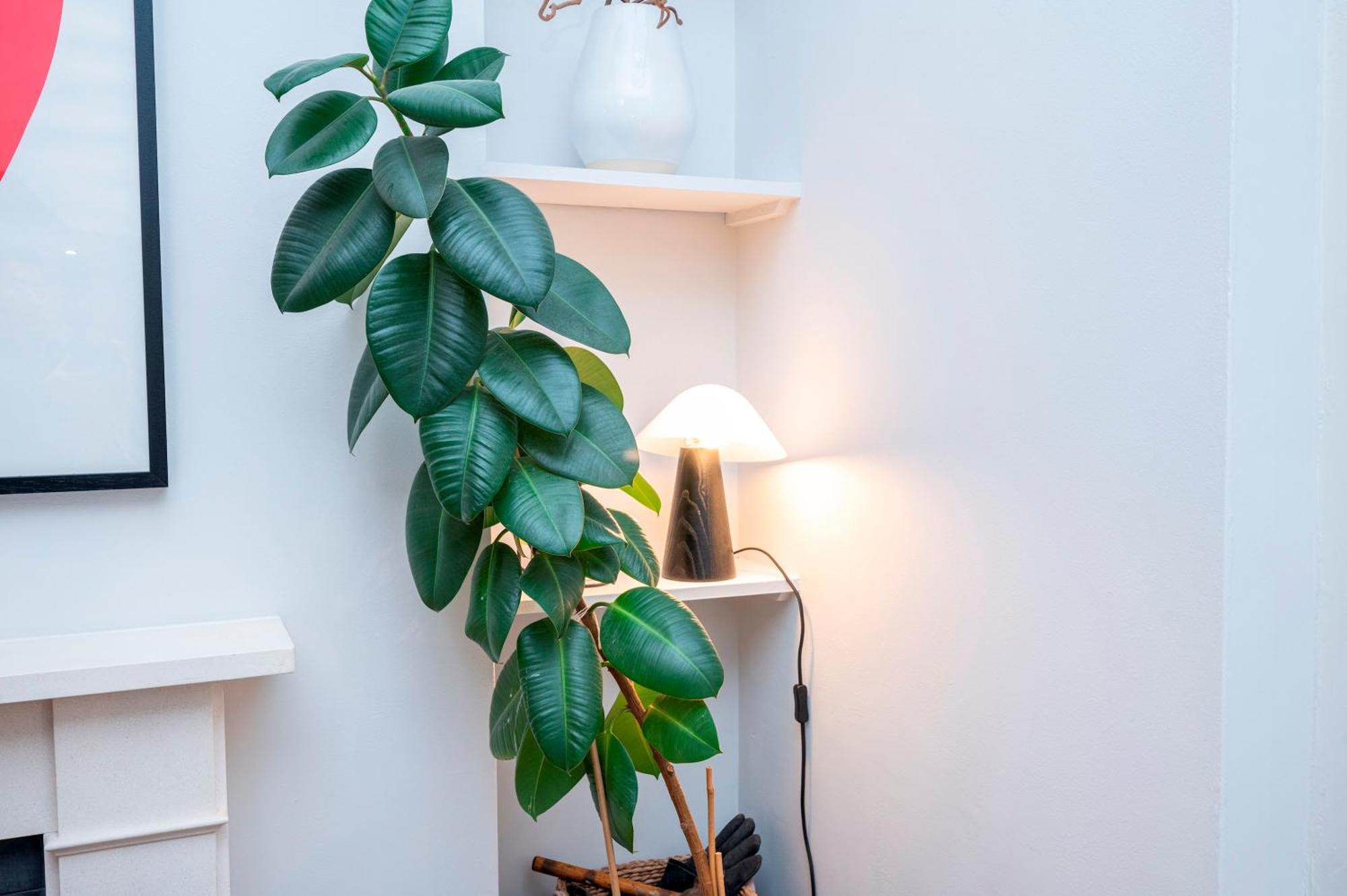 Pass The Keys Luxury Stylish Duplex With Private Garden Appartement *