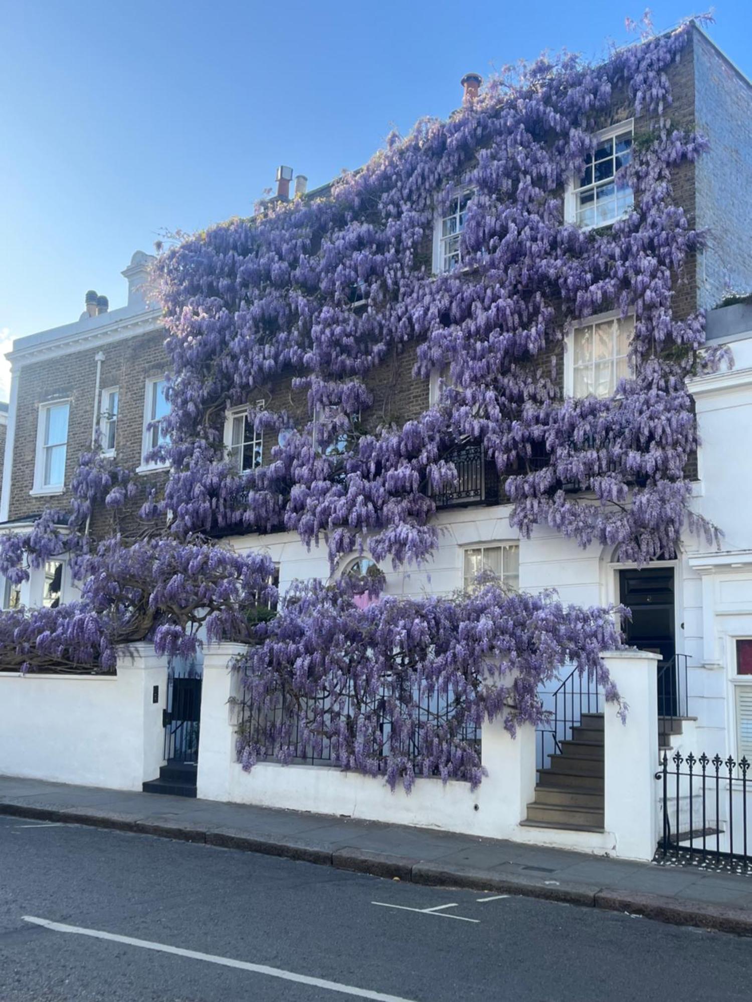Apartment Newly Refurbished- Awesome Very Central Flat In Famous Notting Hill With A Balcony