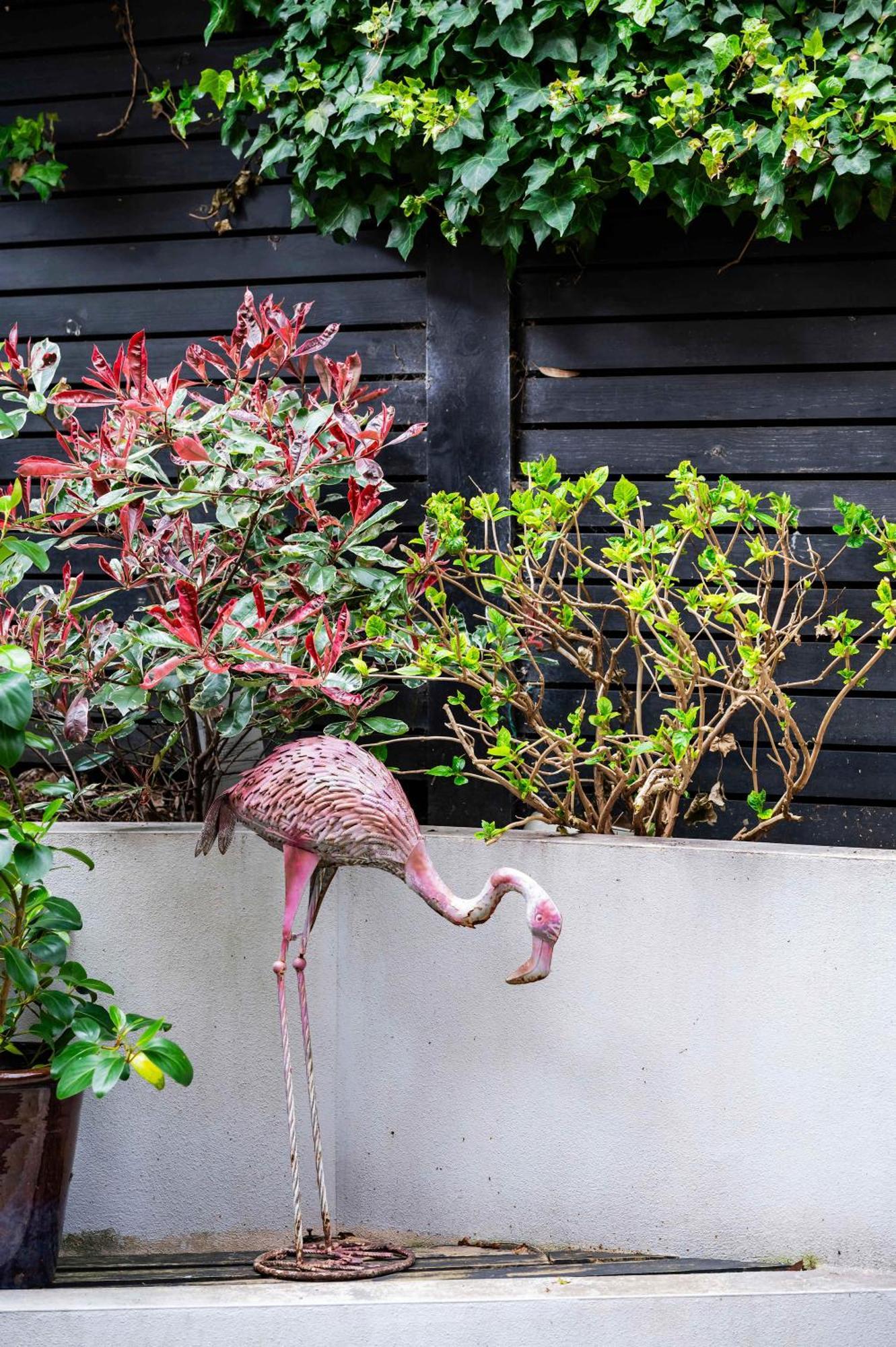 The Bohemian Rhapsody, Hampstead - By Out Of Office Lifestyle London