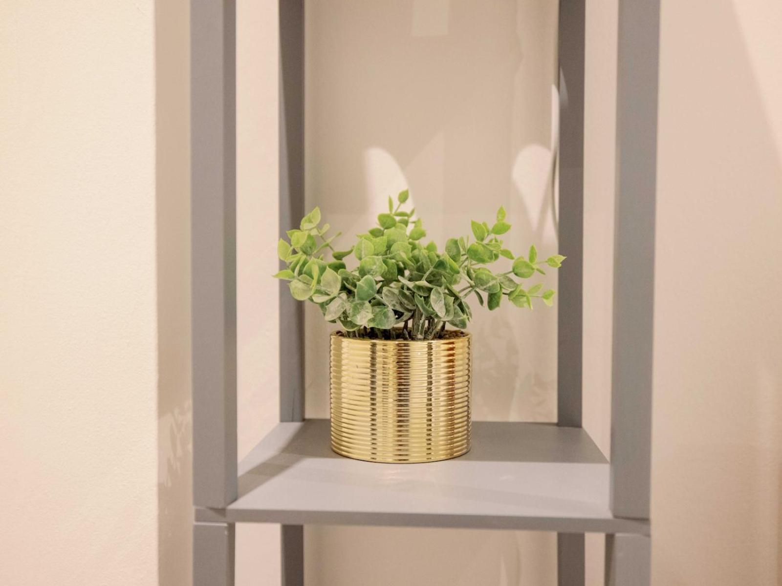 Apartment Pass The Keys Lovely 2-bedroom Flat In Pimlico W Outdoor Patio